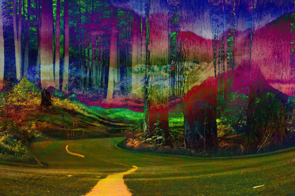 tripped