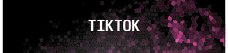 Twilight Twitch panel linking to TikTok